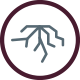 Wurzelbehandlung